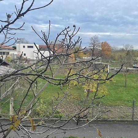 La Grange Proche D'Europapark Lejlighed Kunheim Eksteriør billede