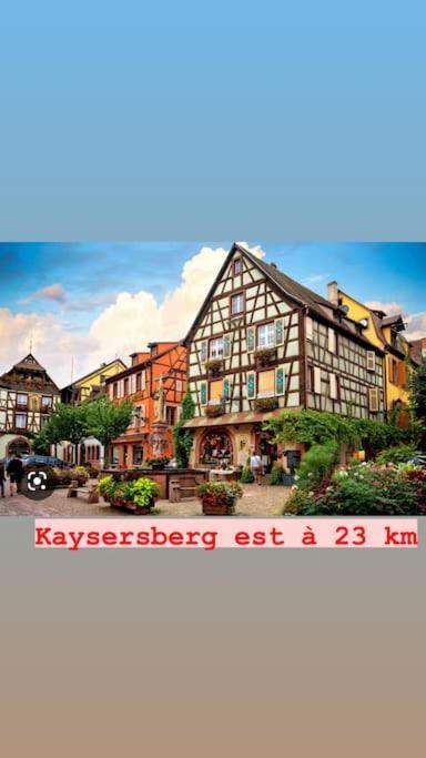 La Grange Proche D'Europapark Lejlighed Kunheim Eksteriør billede