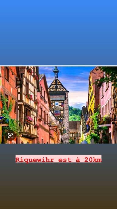 La Grange Proche D'Europapark Lejlighed Kunheim Eksteriør billede